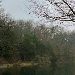 Meet your Posher, Daphne